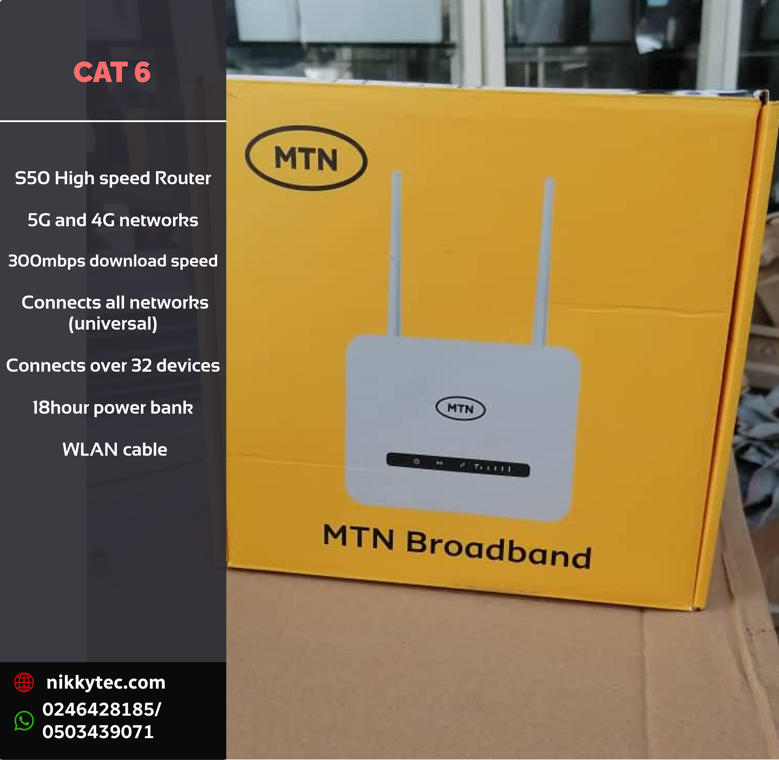 Cat 6